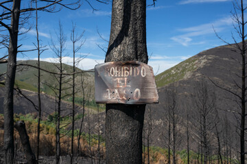 No trespassing sign after a fire 