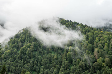 Clouds over a mountain full of trees