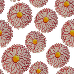 Fototapeta premium watercolor floral spring-summer print, blue, pale pink flowers with petals, tropical flowers, asters, daisies