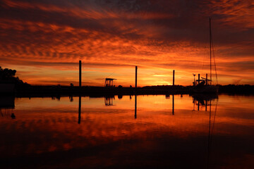 Obraz premium Palmetto Bay