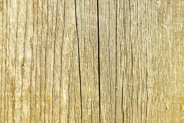 Background, texture old weathered grey-green cracked wooden plank
