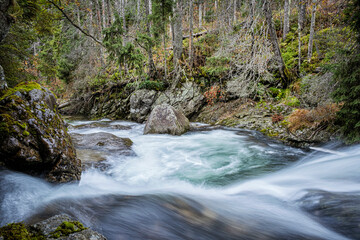 Scenery of brook in Dill valley, High Tatras mountain, Slovakia