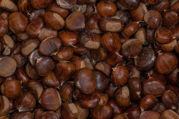 Close-up view of many chestnuts