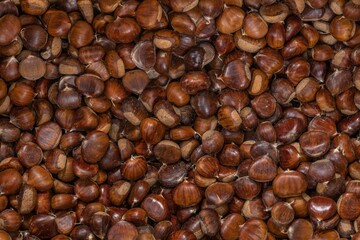 Close-up view of many chestnuts