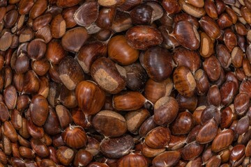 Close-up view of many chestnuts
