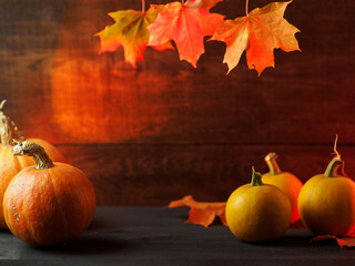 Thanksgiving autumn background with pumpkins and hanging maple leaves. Copy space wooden background