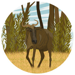 Round composition. Wildebeest walks across the African avannah. Realistic vector landscape