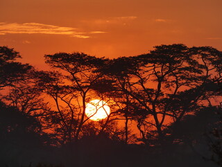 Sunset on the Serengeti in Tanzania, Africa