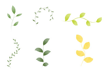 Watercolor leaves. Set of leaves. Vector illustration