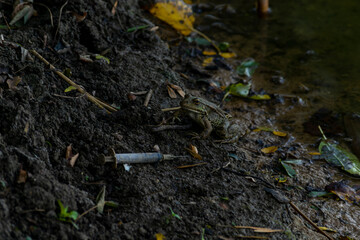 Used dirty syringe left after injection of the drug lying on the ground by the river bank. Intravenous drug use, the spread of AIDS and HIV, through drug addiction.