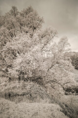 Impressionen der Nördlichen Highlands von Schottland