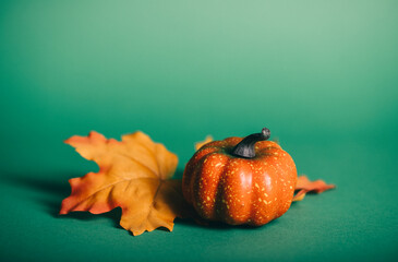pumpkin and autumn leaves