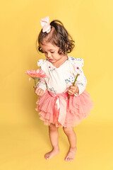 Niña pequeña viendo una gerbera en su  tutu 
