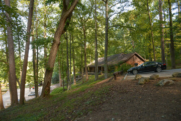 Lake Placid trees, Paris Mountain State Park, Greenville, South Carolina
