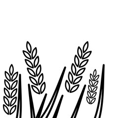 Wheat line icon isolated on a white background