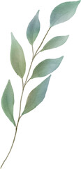leaf watercolor Clipart