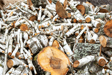 Birch logs lie in a heap on the ground. Birch firewood is randomly piled up. The image can be used as texture or background.