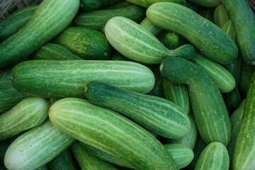 Fresh Green cucumbers in the market