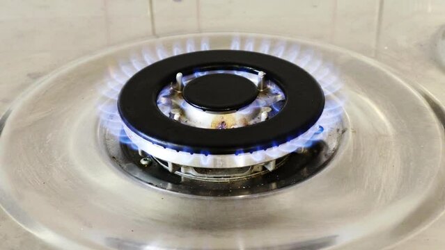 Gas cooker with burning flames of gas. Domestic kitchen with blue flames burning