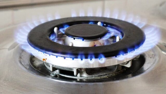 Gas cooker with burning flames of gas. Domestic kitchen with blue flames burning