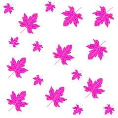 Autumn pink maple Fashion Fall Background. Pink Maple Leaves on white. Trendy Stylish Creative Concept. Vintage