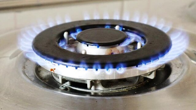Gas cooker with burning flames of gas. Domestic kitchen with blue flames burning