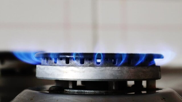 Gas cooker with burning flames of gas. Domestic kitchen with blue flames burning