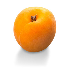 Fresh ripe apricot isolated on white