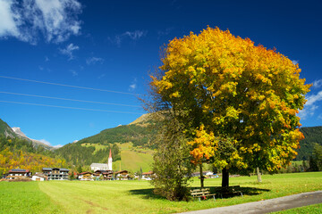 Indian summer in fall in the alpine valley of Holzgau in Tyrol Austria