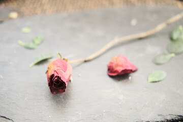 dry rose placed on a stone plate