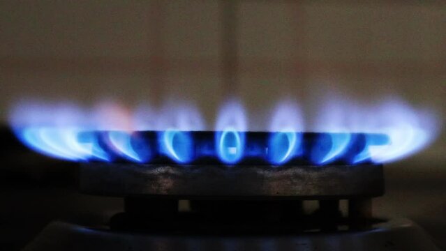 Gas cooker with burning flames of gas. Domestic kitchen with blue flames burning