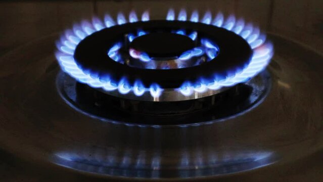 Gas cooker with burning flames of gas. Domestic kitchen with blue flames burning