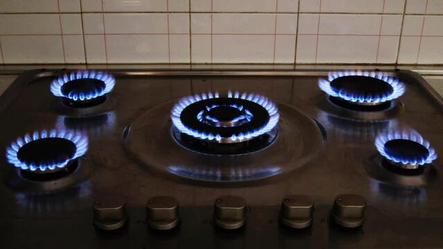 Gas cooker with burning flames of gas. Domestic kitchen with blue flames burning