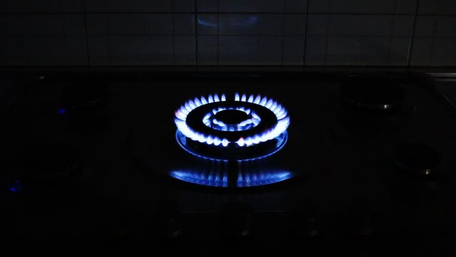 Gas cooker with burning flames of gas. Domestic kitchen with blue flames burning