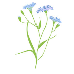 Wild Flower Icon. Hand Drawn Illustration