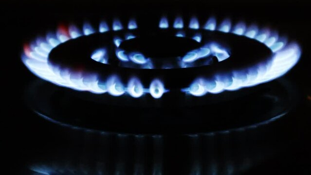 Gas cooker with burning flames of gas. Domestic kitchen with blue flames burning