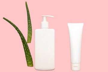 Leaves of a green medicinal flower of aloe vera. White container for shampoo.