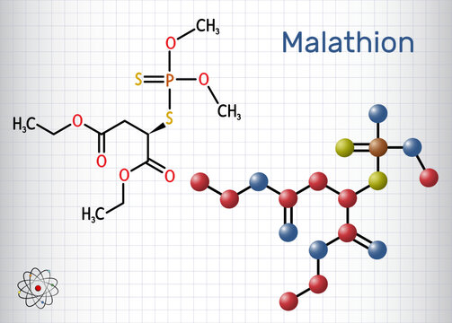 Malathion molecule. It is parasympathomimetic organophosphate used as insecticide for treatment of head lice. Structural chemical formula, molecule model. Sheet of paper in a cage