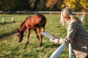 Woman artist drawing horse to sketchbook. Illustrator looking for graphic inspiration outdoors on...