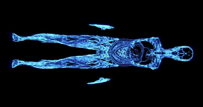 human body coronal scan xray