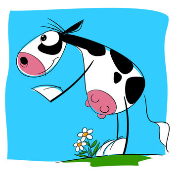  Vaca holstein o frisona en actitudes humanas, muy contenta porque est&aacute; en libertad en una gran pradera.
