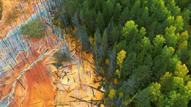 Toxic river flowing from industrial plant pollutes forest and ground. Dead trees on acid soil contaminated with heavy metals from copper mine, environmental disaster, aerial