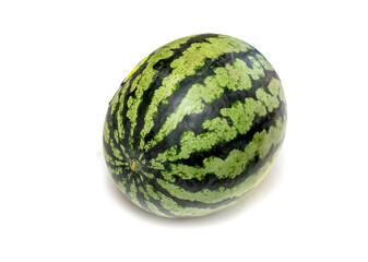 Ripe green watermelon on a white background.