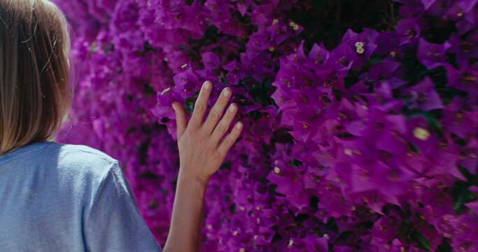 Hand of women tenderly touches bright purple flowers. Girl turns around and smile. Beauty of nature, peaceful summer vacation day.
