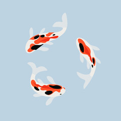 Koi carp swim in water around. Flat line vector illustration. 