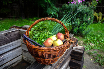Raw vegetables assortment .