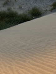 The sand of Lanzarote of the Canary Islands, dunes, hills and rare plants against the blue sky