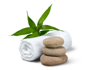 Spa and Wellness Setting