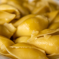 close up Italian pasta conchiglione without sauce