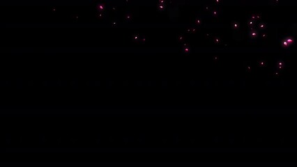 Falling neon petals of a pink flower on a black background
